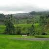 Bali-Landschaft (48)